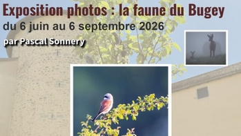 Permalien vers:Rendez-vous au jardin